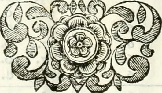 An illustration from La meridiana del tempio di S. Petronio : tirata, e preparata per le osseruazioni astronomiche l'anno 1655 : riuista, e restaurata l'anno 1695, 1695, leaf 87