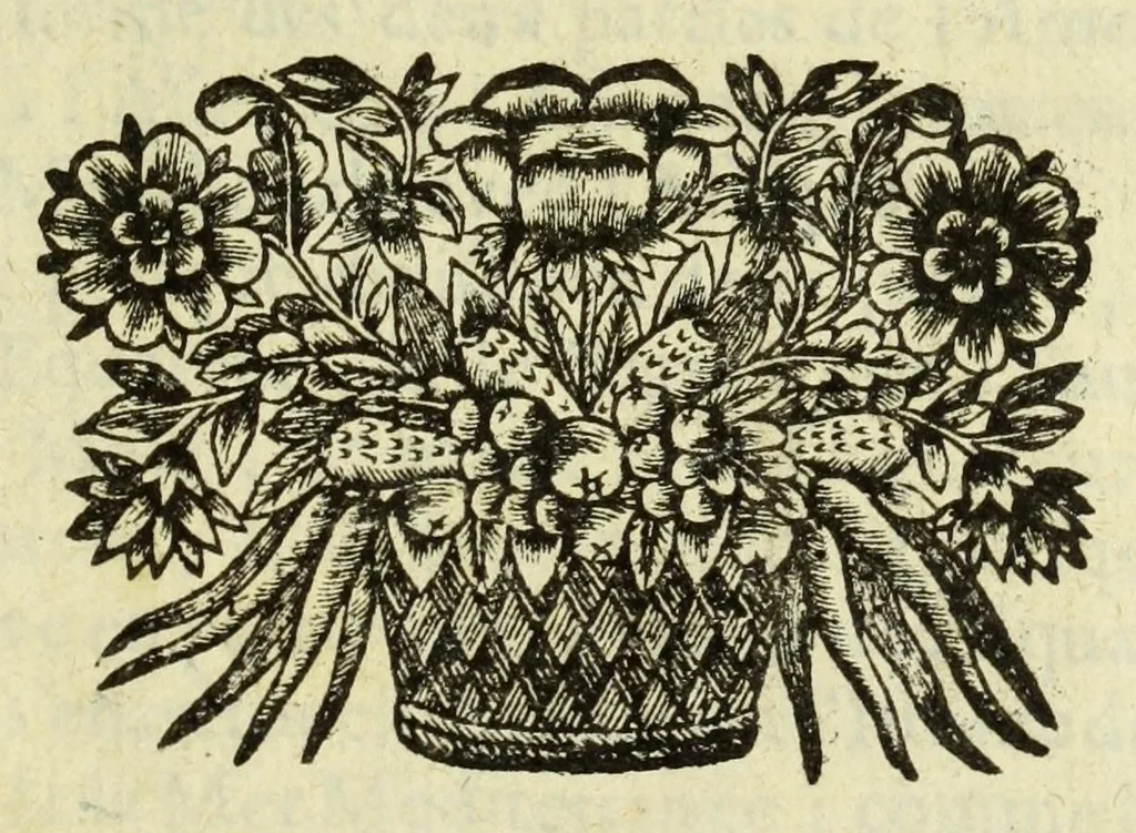 An illustration from L'Amerique, en plusieurs cartes nouvelles, et exactes, &c [cartographic material] : en divers traitez de geographie, et d'histoire : la ou sont descrits succinctement, & avec une belle methode, & facile : ses empires, ses monarchies, ses estats, &c. : les moeurs, les langues, les religions, le negoce et la richesse de ses peuples, &c. : et ce qu'il y a de plus beau & de plus rare dans toutes ses parties, & dans ses isles, 1667, leaf 7
