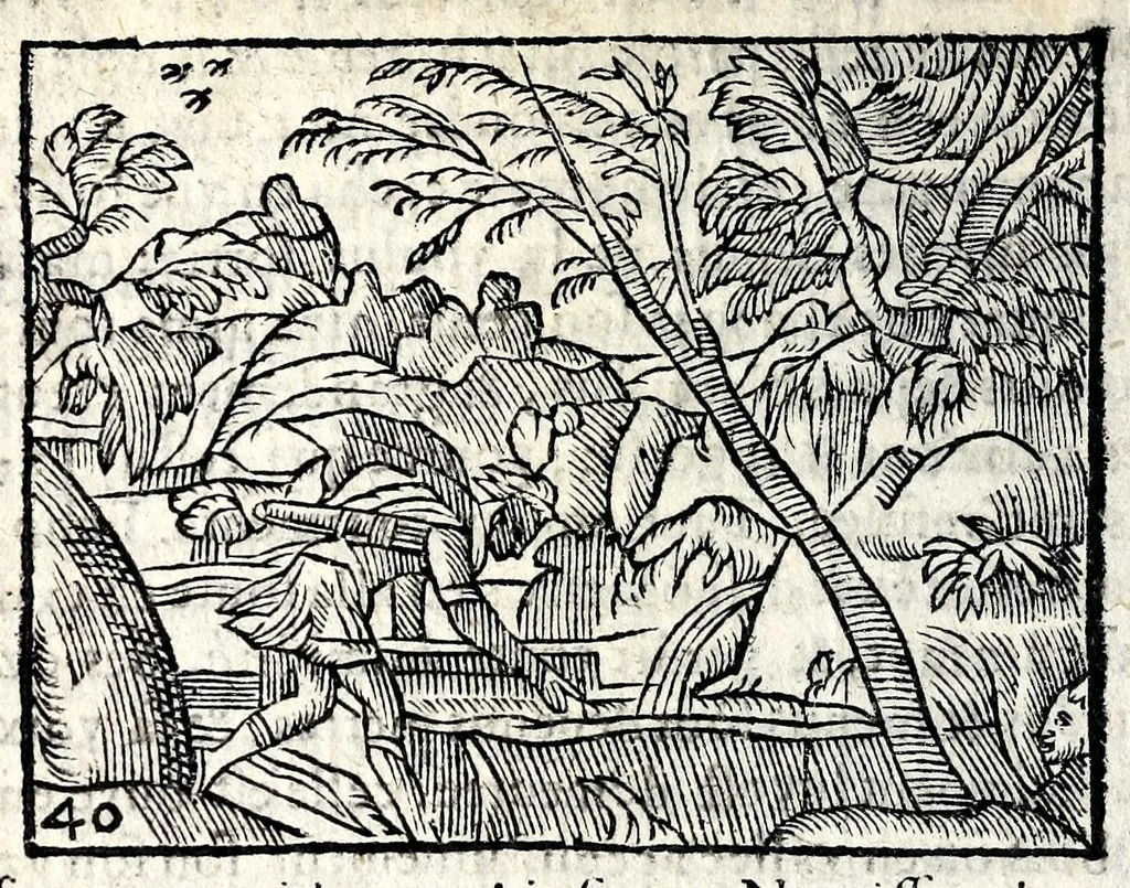 An illustration from La Metamorphose d'Ouide : contenant l'Olympe des histoires poëtiques : traduits de latin en françois, 1608, leaf 126