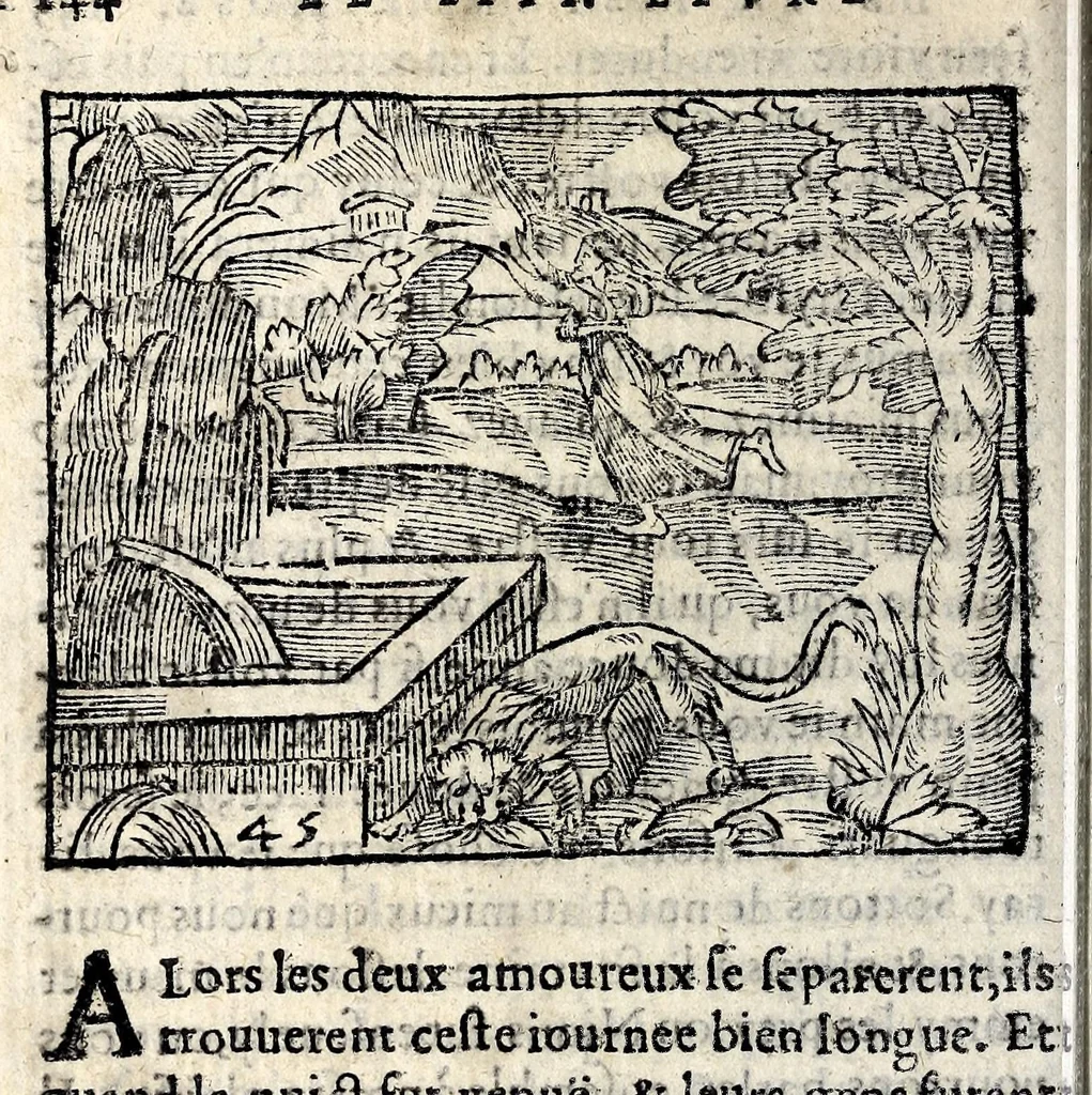 An illustration from La Metamorphose d'Ouide : contenant l'Olympe des histoires poëtiques : traduits de latin en françois, 1608, leaf 150