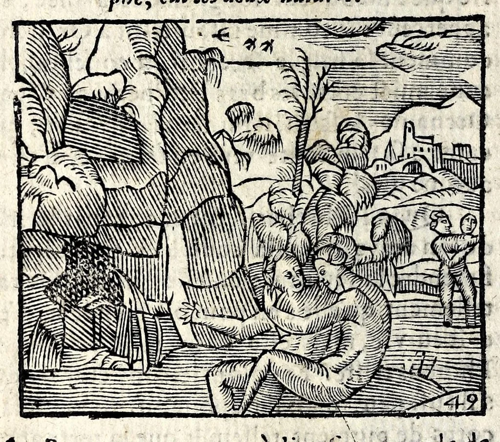 An illustration from La Metamorphose d'Ouide : contenant l'Olympe des histoires poëtiques : traduits de latin en françois, 1608, leaf 160