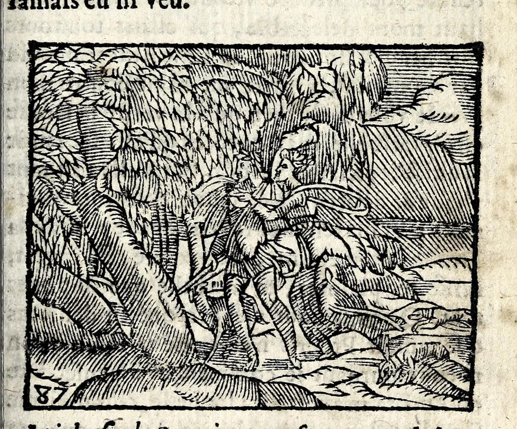 An illustration from La Metamorphose d'Ouide : contenant l'Olympe des histoires poëtiques : traduits de latin en françois, 1608, leaf 309