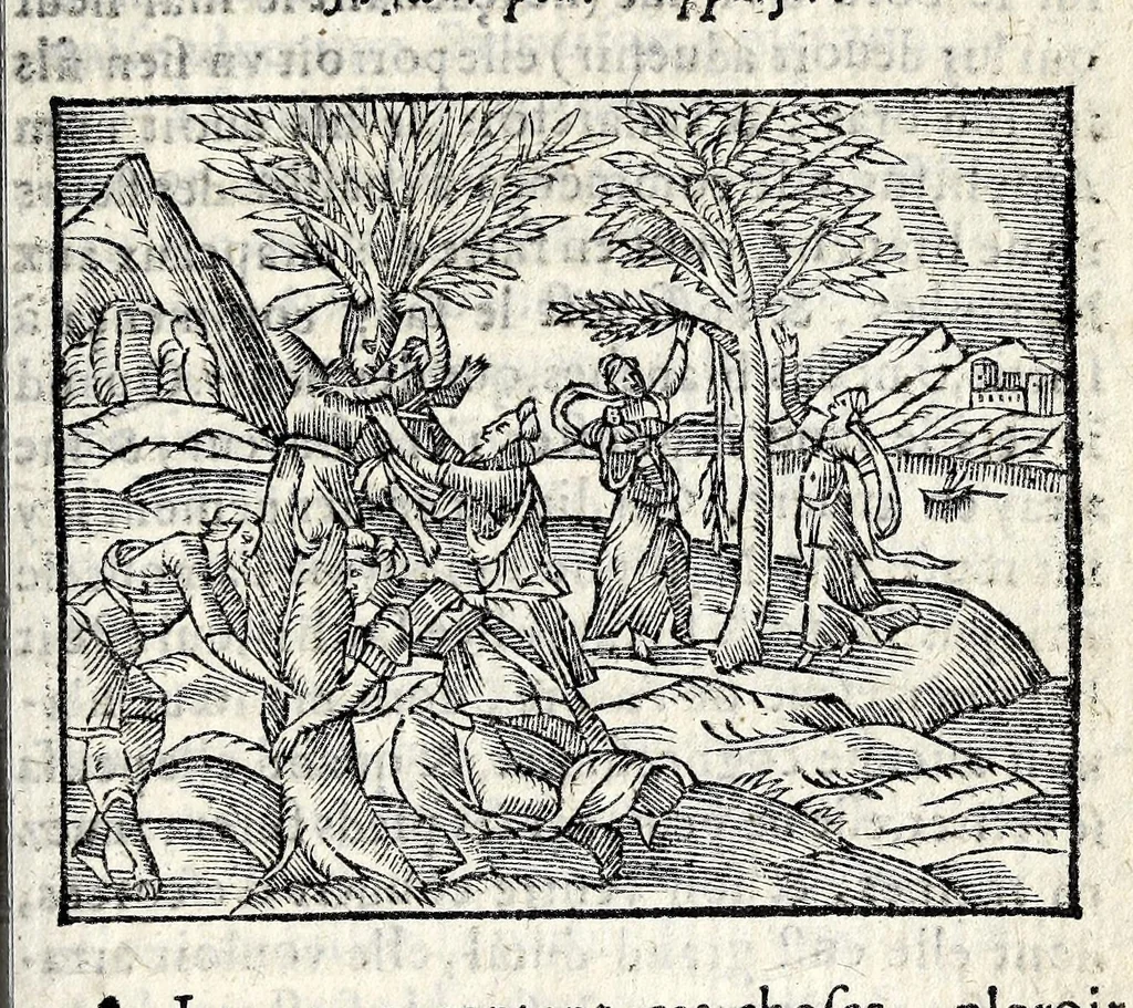 An illustration from La Metamorphose d'Ouide : contenant l'Olympe des histoires poëtiques : traduits de latin en françois, 1608, leaf 395