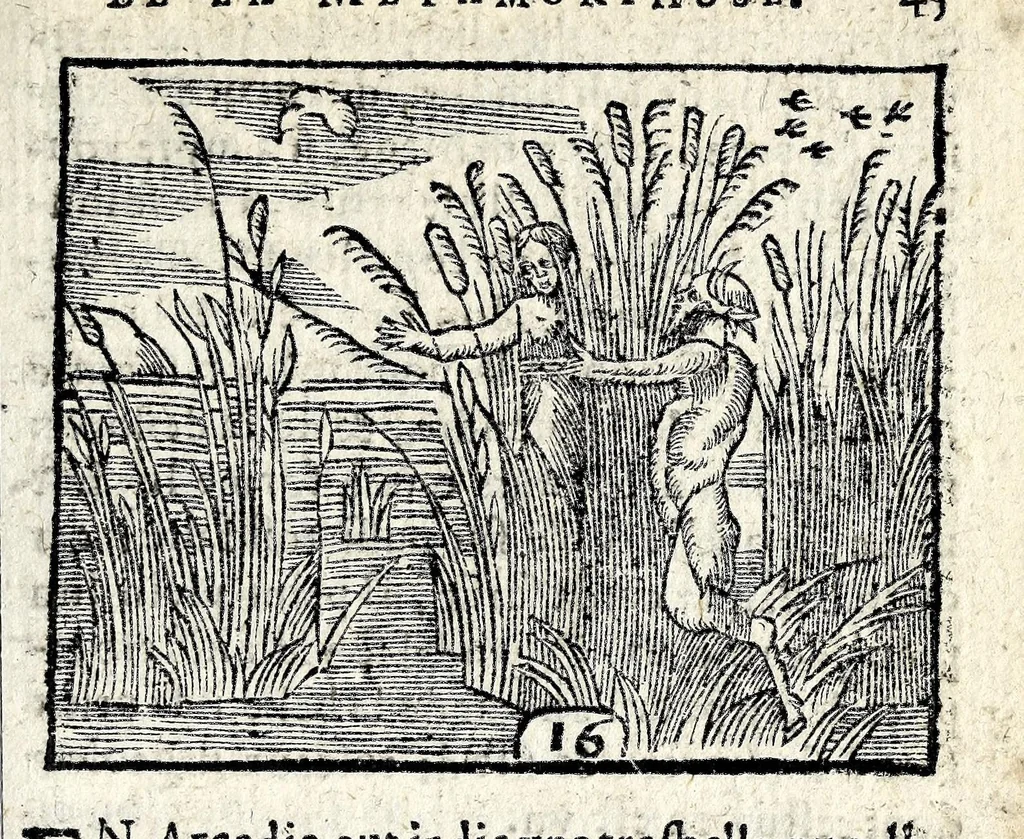 An illustration from La Metamorphose d'Ouide : contenant l'Olympe des histoires poëtiques : traduits de latin en françois, 1608, leaf 51