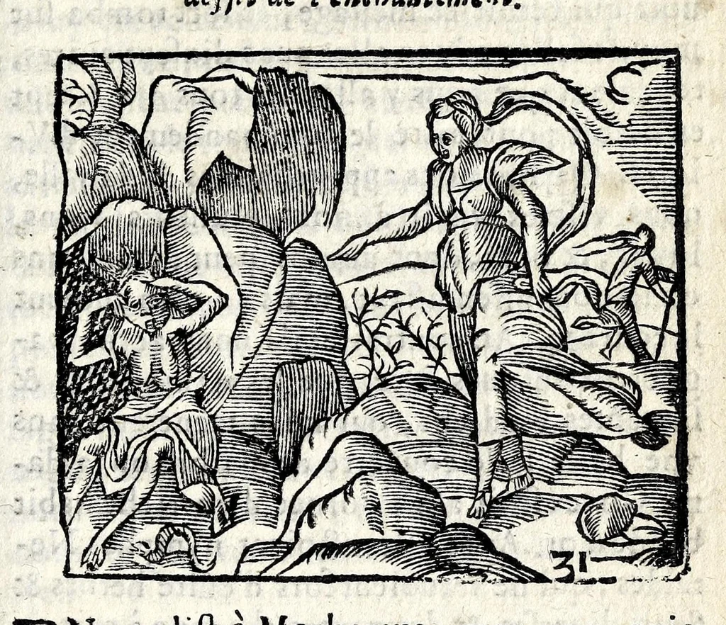 An illustration from La Metamorphose d'Ouide : contenant l'Olympe des histoires poëtiques : traduits de latin en françois, 1608, leaf 685