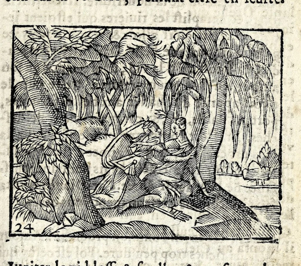An illustration from La Metamorphose d'Ouide : contenant l'Olympe des histoires poëtiques : traduits de latin en françois, 1608, leaf 73