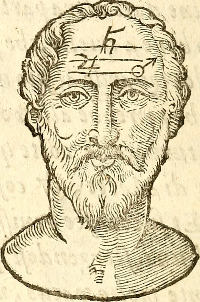 An illustration from La metoposcopia, ouero, Commensuratione delle linee della fronte, 1629, leaf 23
