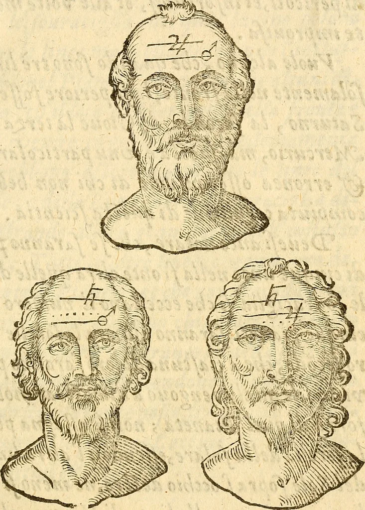 An illustration from La metoposcopia, ouero, Commensuratione delle linee della fronte, 1629, leaf 24