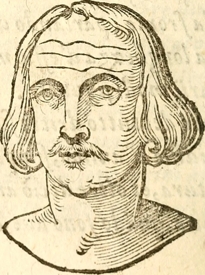 An illustration from La metoposcopia, ouero, Commensuratione delle linee della fronte, 1629, leaf 31