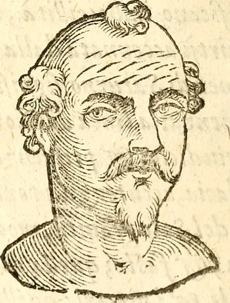 An illustration from La metoposcopia, ouero, Commensuratione delle linee della fronte, 1629, leaf 35