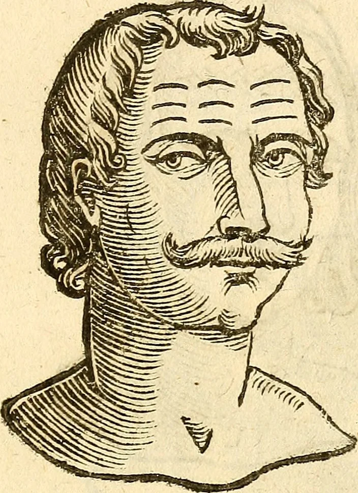 An illustration from La metoposcopia, ouero, Commensuratione delle linee della fronte, 1629, leaf 36
