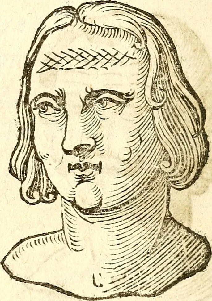 An illustration from La metoposcopia, ouero, Commensuratione delle linee della fronte, 1629, leaf 37
