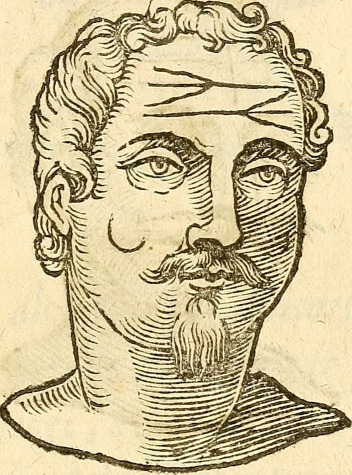 An illustration from La metoposcopia, ouero, Commensuratione delle linee della fronte, 1629, leaf 38
