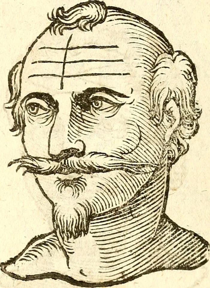 An illustration from La metoposcopia, ouero, Commensuratione delle linee della fronte, 1629, leaf 39