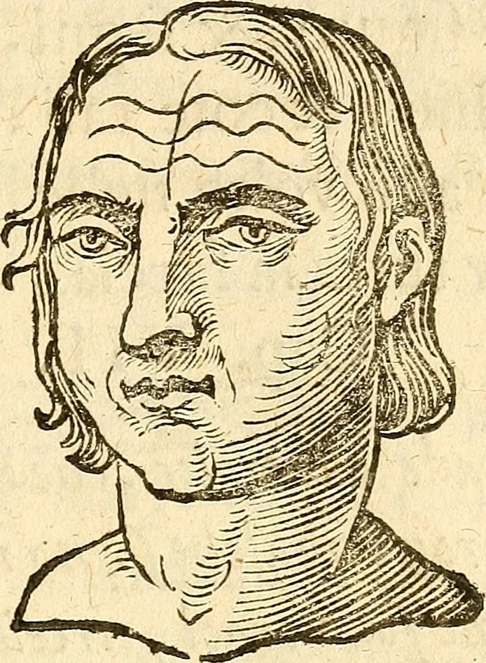 An illustration from La metoposcopia, ouero, Commensuratione delle linee della fronte, 1629, leaf 40