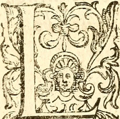 An illustration from La metoposcopia, ouero, Commensuratione delle linee della fronte, 1629, leaf 53