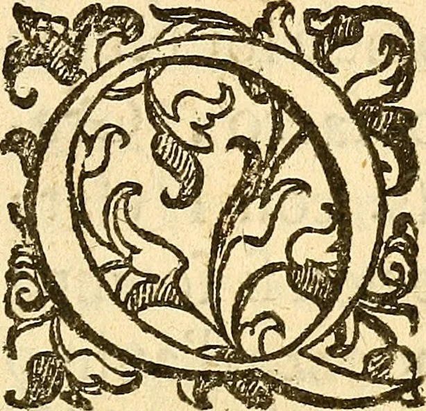 An illustration from La metoposcopia, ouero, Commensuratione delle linee della fronte, 1629, leaf 6