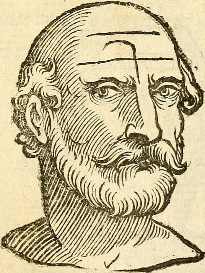 An illustration from La metoposcopia, ouero, Commensuratione delle linee della fronte, 1629, leaf 76
