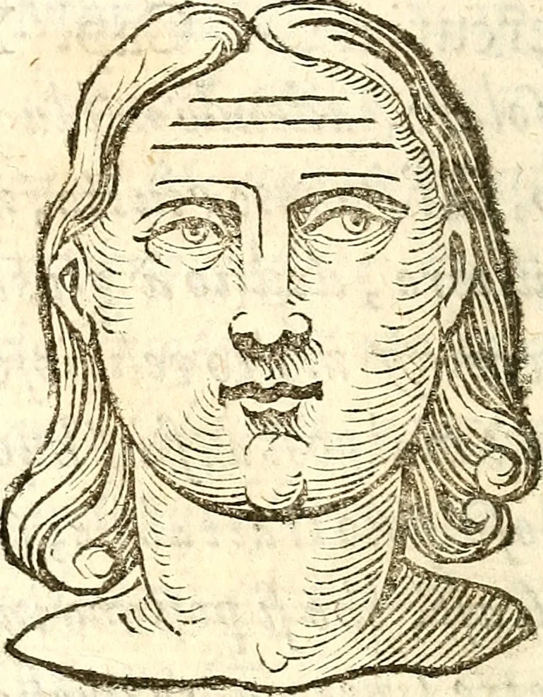 An illustration from La metoposcopia, ouero, Commensuratione delle linee della fronte, 1629, leaf 79