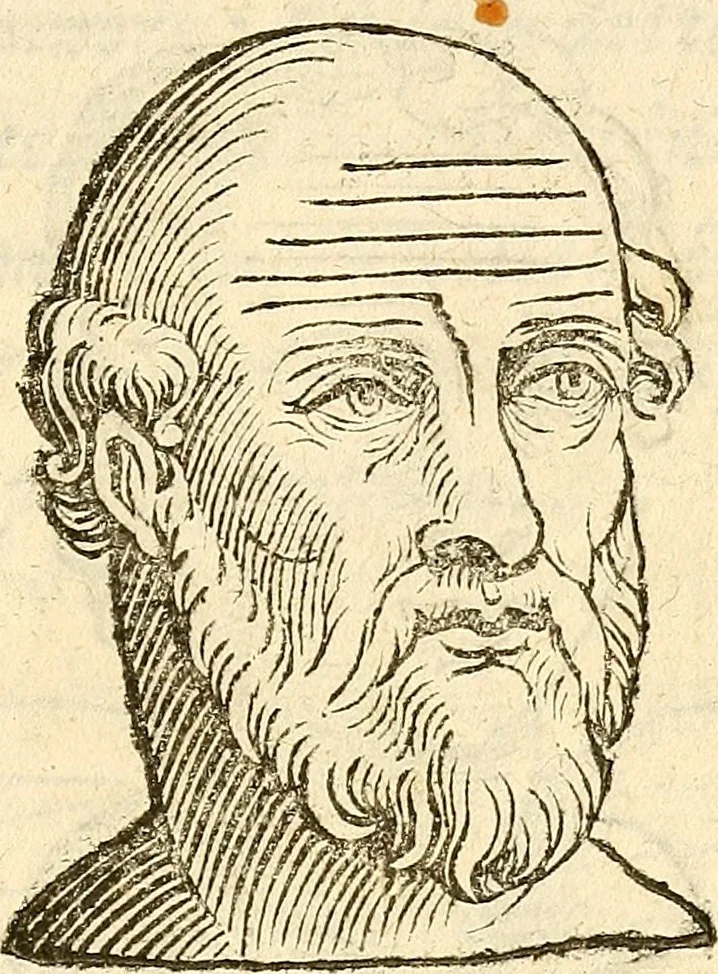 An illustration from La metoposcopia, ouero, Commensuratione delle linee della fronte, 1629, leaf 80