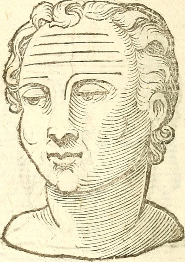 An illustration from La metoposcopia, ouero, Commensuratione delle linee della fronte, 1629, leaf 81