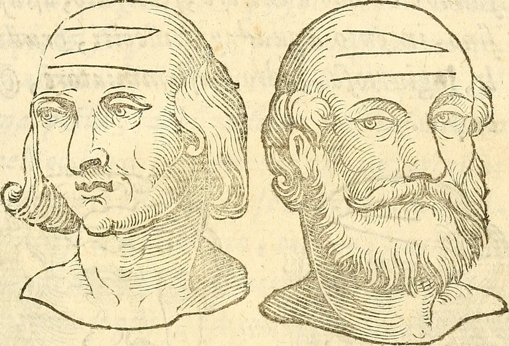 An illustration from La metoposcopia, ouero, Commensuratione delle linee della fronte, 1629, leaf 82