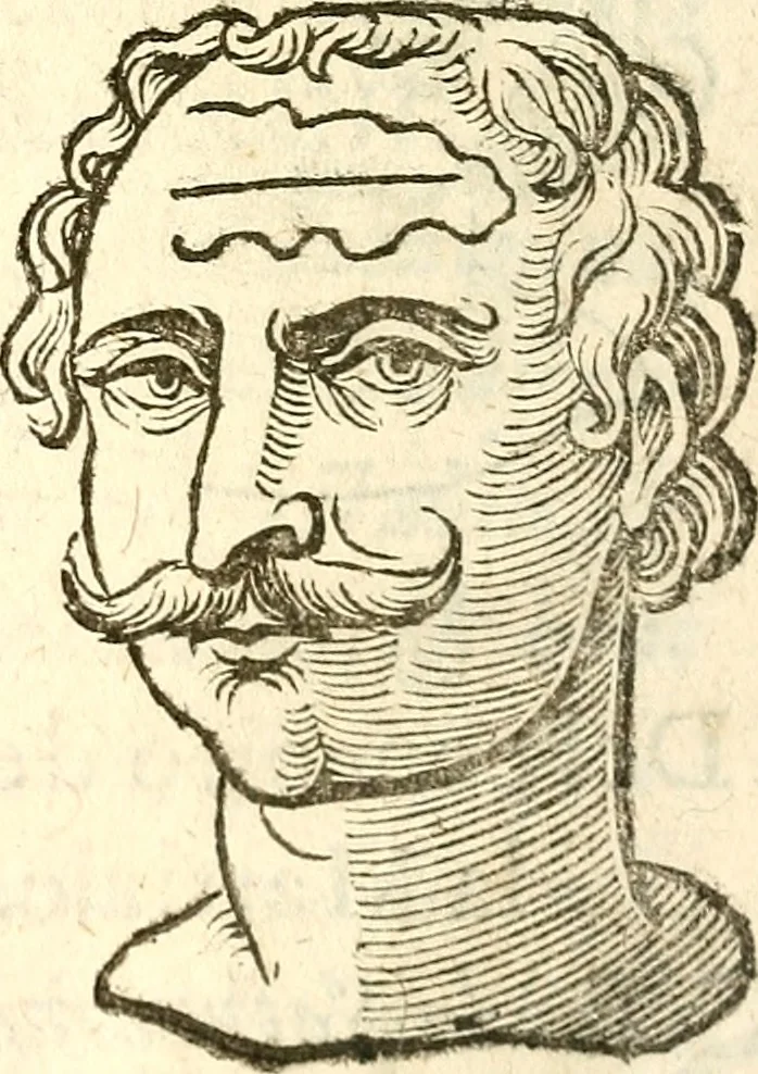 An illustration from La metoposcopia, ouero, Commensuratione delle linee della fronte, 1629, leaf 83