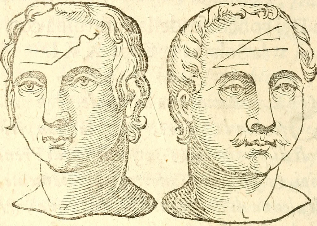 An illustration from La metoposcopia, ouero, Commensuratione delle linee della fronte, 1629, leaf 85