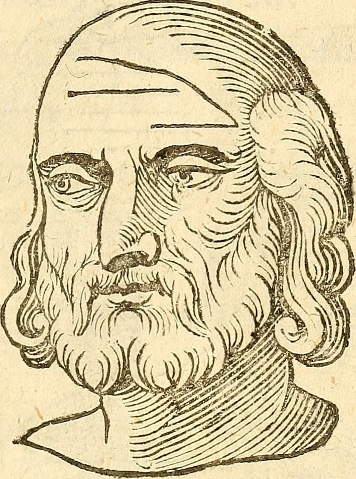 An illustration from La metoposcopia, ouero, Commensuratione delle linee della fronte, 1629, leaf 86
