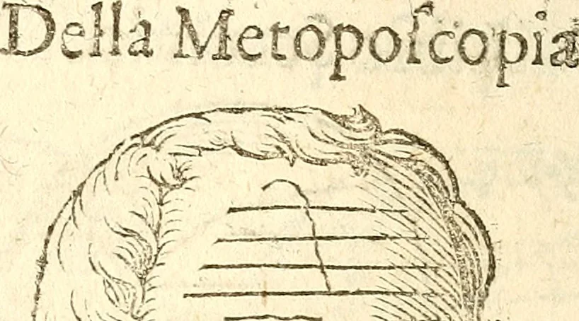 An illustration from La metoposcopia, ouero, Commensuratione delle linee della fronte, 1629, leaf 87