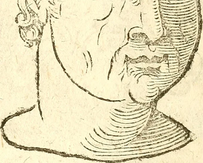 An illustration from La metoposcopia, ouero, Commensuratione delle linee della fronte, 1629, leaf 87