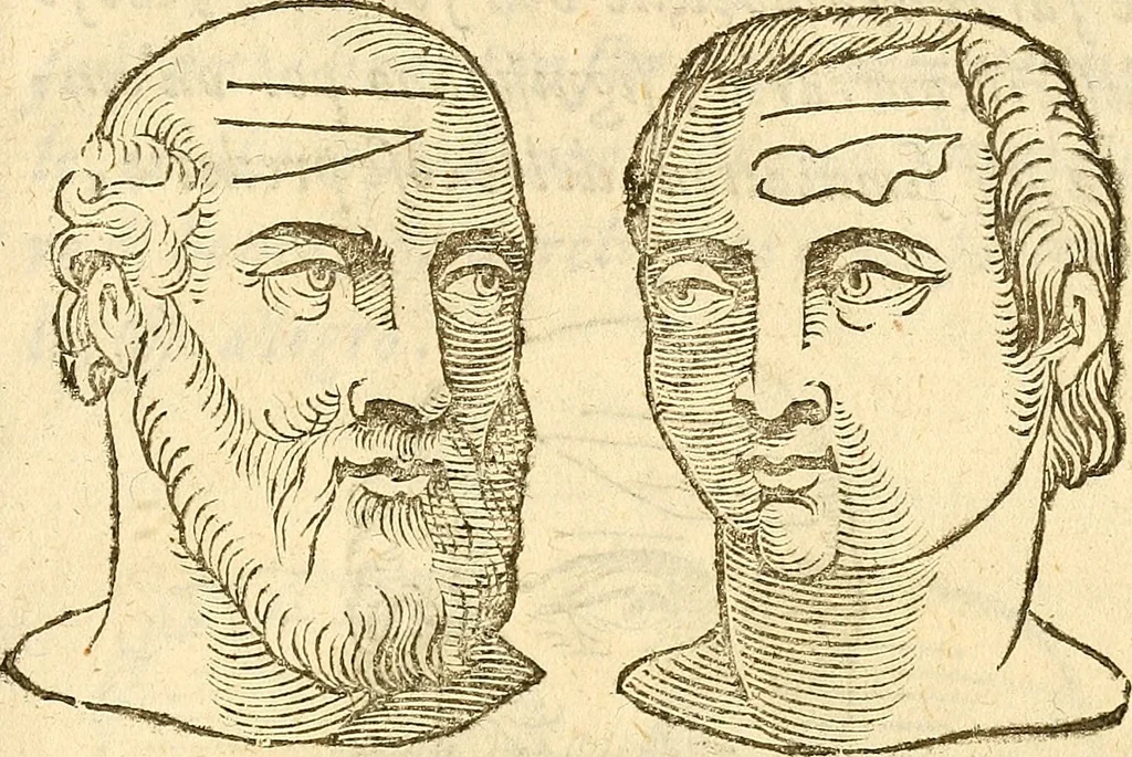 An illustration from La metoposcopia, ouero, Commensuratione delle linee della fronte, 1629, leaf 88
