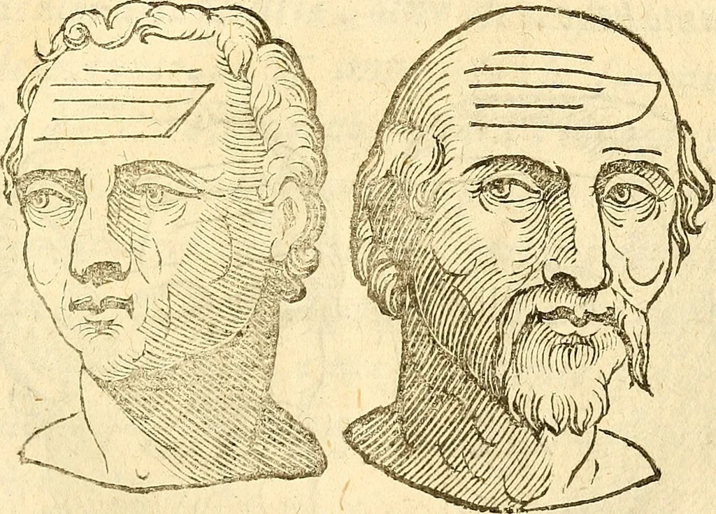 An illustration from La metoposcopia, ouero, Commensuratione delle linee della fronte, 1629, leaf 90