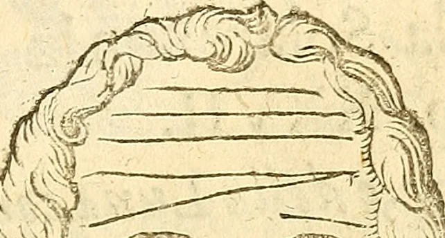 An illustration from La metoposcopia, ouero, Commensuratione delle linee della fronte, 1629, leaf 96