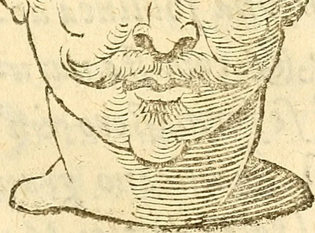 An illustration from La metoposcopia, ouero, Commensuratione delle linee della fronte, 1629, leaf 96
