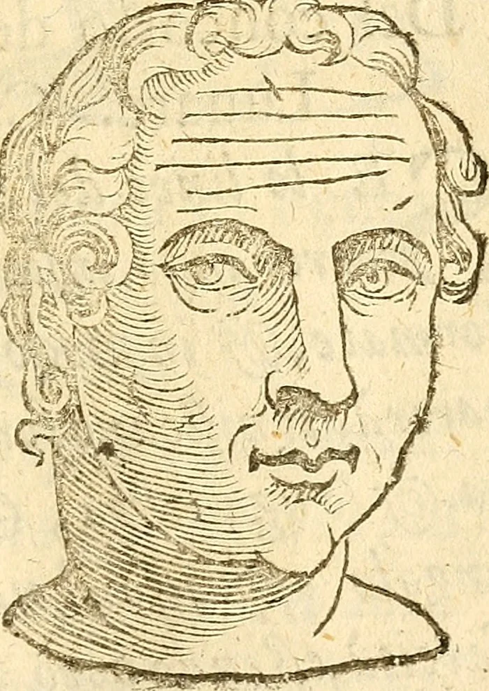 An illustration from La metoposcopia, ouero, Commensuratione delle linee della fronte, 1629, leaf 96
