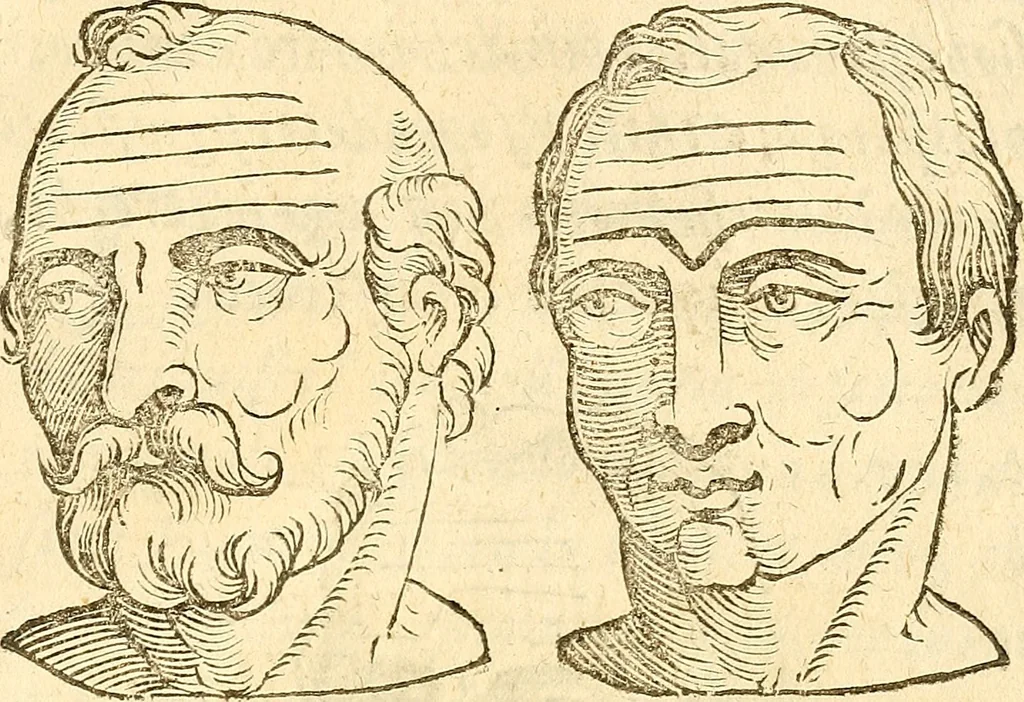 An illustration from La metoposcopia, ouero, Commensuratione delle linee della fronte, 1629, leaf 98