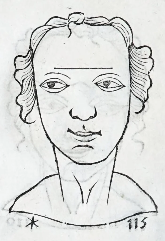 An illustration from La metoposcopie de H. Cardan, medecin milanois : comprise en treize liures, et huit cens figures de la face humaine : a laquelle a esté adjousté, Le traicté des marques naturelles du corps, par Melampus, antien autheur grec : le tout traduit en françois par le sieur C. M. de Laurendiere, docteur en medecine, 1658, leaf 100