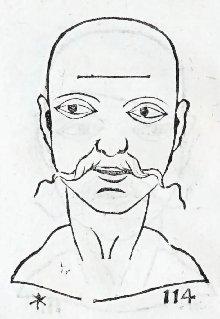 An illustration from La metoposcopie de H. Cardan, medecin milanois : comprise en treize liures, et huit cens figures de la face humaine : a laquelle a esté adjousté, Le traicté des marques naturelles du corps, par Melampus, antien autheur grec : le tout traduit en françois par le sieur C. M. de Laurendiere, docteur en medecine, 1658, leaf 100