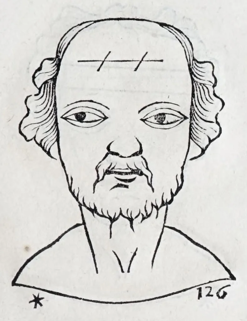An illustration from La metoposcopie de H. Cardan, medecin milanois : comprise en treize liures, et huit cens figures de la face humaine : a laquelle a esté adjousté, Le traicté des marques naturelles du corps, par Melampus, antien autheur grec : le tout traduit en françois par le sieur C. M. de Laurendiere, docteur en medecine, 1658, leaf 103