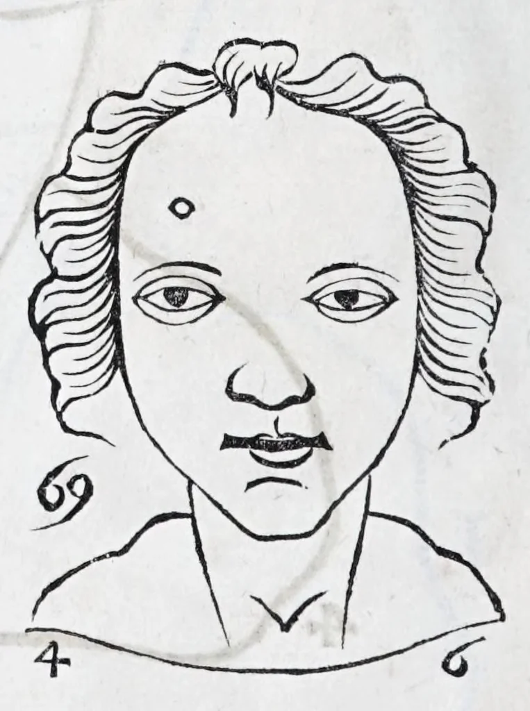 An illustration from La metoposcopie de H. Cardan, medecin milanois : comprise en treize liures, et huit cens figures de la face humaine : a laquelle a esté adjousté, Le traicté des marques naturelles du corps, par Melampus, antien autheur grec : le tout traduit en françois par le sieur C. M. de Laurendiere, docteur en medecine, 1658, leaf 204