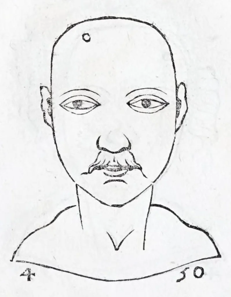 An illustration from La metoposcopie de H. Cardan, medecin milanois : comprise en treize liures, et huit cens figures de la face humaine : a laquelle a esté adjousté, Le traicté des marques naturelles du corps, par Melampus, antien autheur grec : le tout traduit en françois par le sieur C. M. de Laurendiere, docteur en medecine, 1658, leaf 215