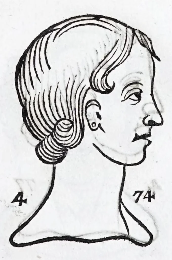 An illustration from La metoposcopie de H. Cardan, medecin milanois : comprise en treize liures, et huit cens figures de la face humaine : a laquelle a esté adjousté, Le traicté des marques naturelles du corps, par Melampus, antien autheur grec : le tout traduit en françois par le sieur C. M. de Laurendiere, docteur en medecine, 1658, leaf 221