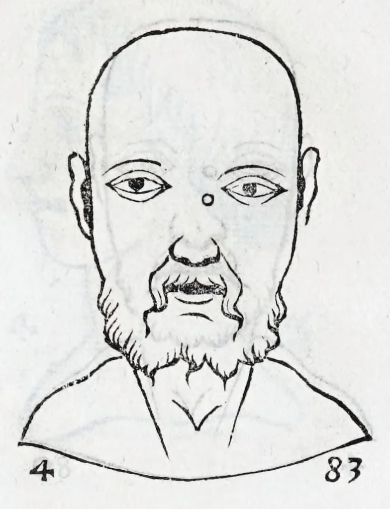 An illustration from La metoposcopie de H. Cardan, medecin milanois : comprise en treize liures, et huit cens figures de la face humaine : a laquelle a esté adjousté, Le traicté des marques naturelles du corps, par Melampus, antien autheur grec : le tout traduit en françois par le sieur C. M. de Laurendiere, docteur en medecine, 1658, leaf 224