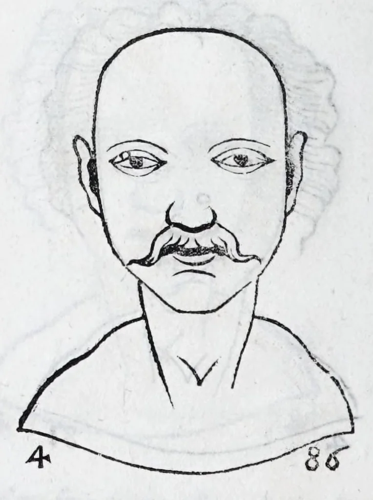 An illustration from La metoposcopie de H. Cardan, medecin milanois : comprise en treize liures, et huit cens figures de la face humaine : a laquelle a esté adjousté, Le traicté des marques naturelles du corps, par Melampus, antien autheur grec : le tout traduit en françois par le sieur C. M. de Laurendiere, docteur en medecine, 1658, leaf 224