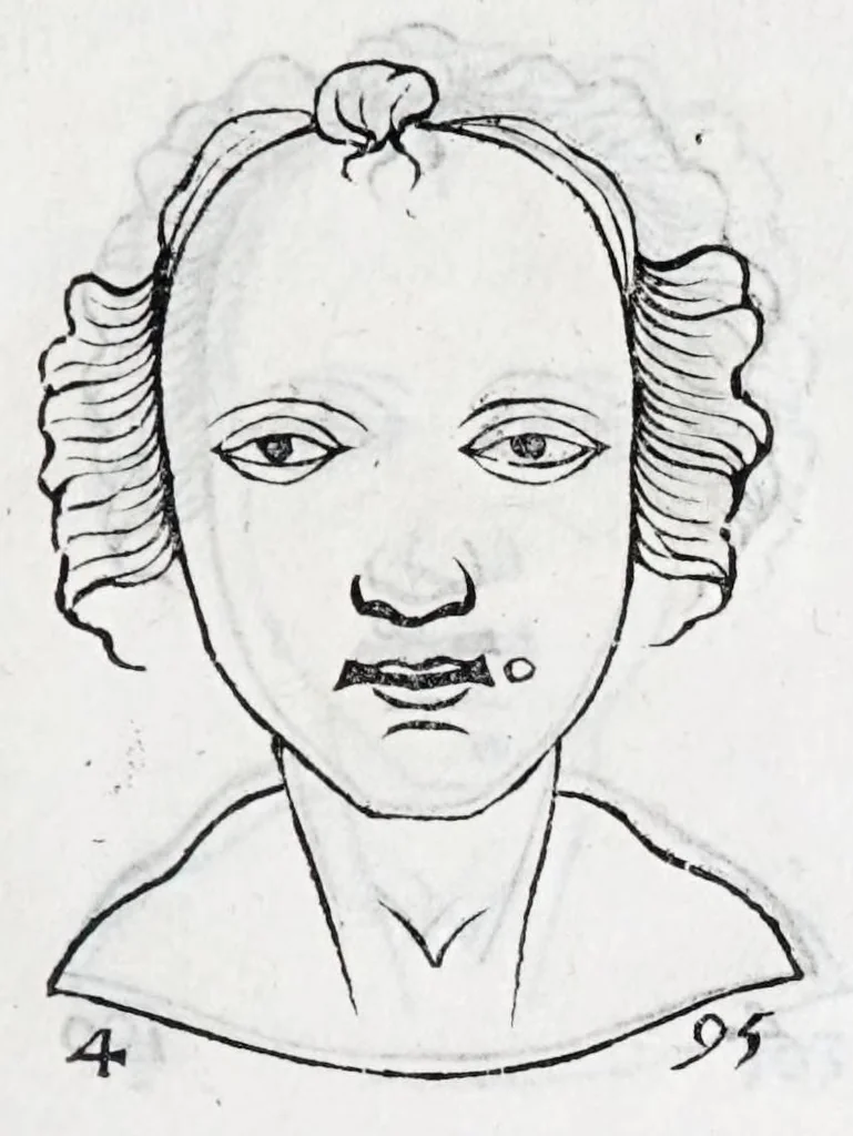 An illustration from La metoposcopie de H. Cardan, medecin milanois : comprise en treize liures, et huit cens figures de la face humaine : a laquelle a esté adjousté, Le traicté des marques naturelles du corps, par Melampus, antien autheur grec : le tout traduit en françois par le sieur C. M. de Laurendiere, docteur en medecine, 1658, leaf 227