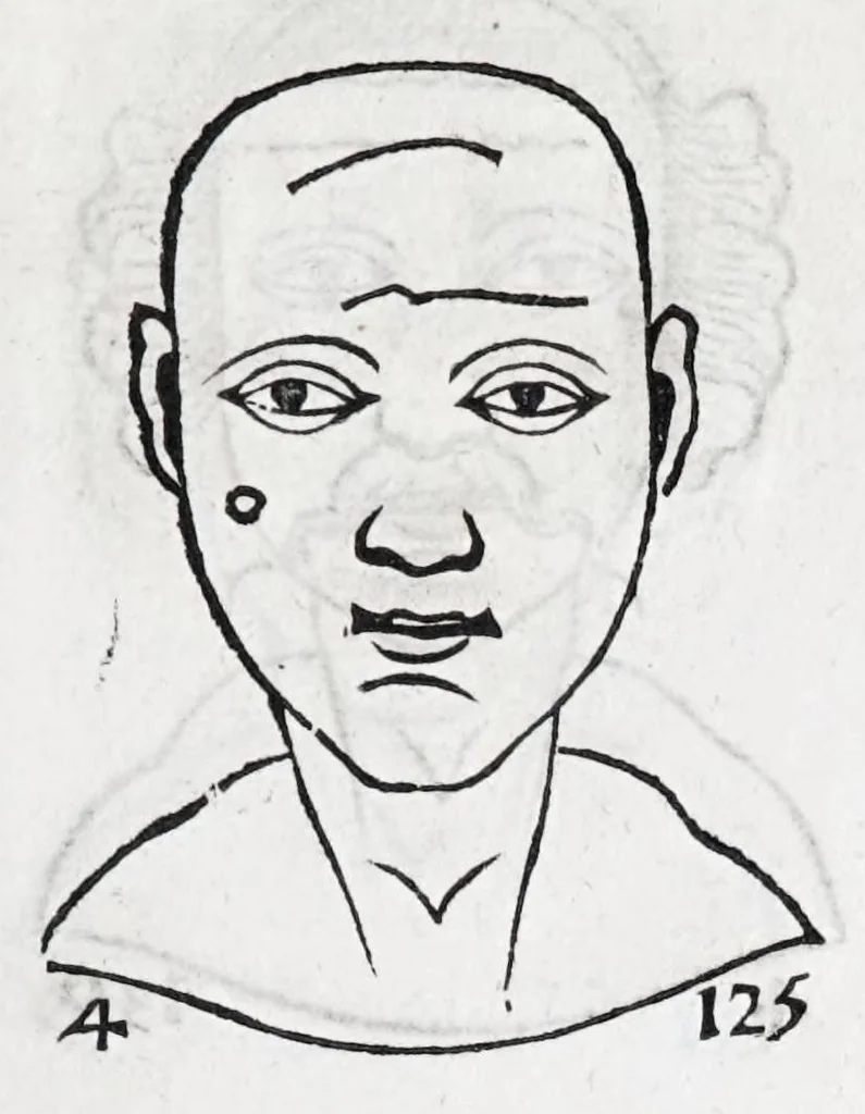 An illustration from La metoposcopie de H. Cardan, medecin milanois : comprise en treize liures, et huit cens figures de la face humaine : a laquelle a esté adjousté, Le traicté des marques naturelles du corps, par Melampus, antien autheur grec : le tout traduit en françois par le sieur C. M. de Laurendiere, docteur en medecine, 1658, leaf 235