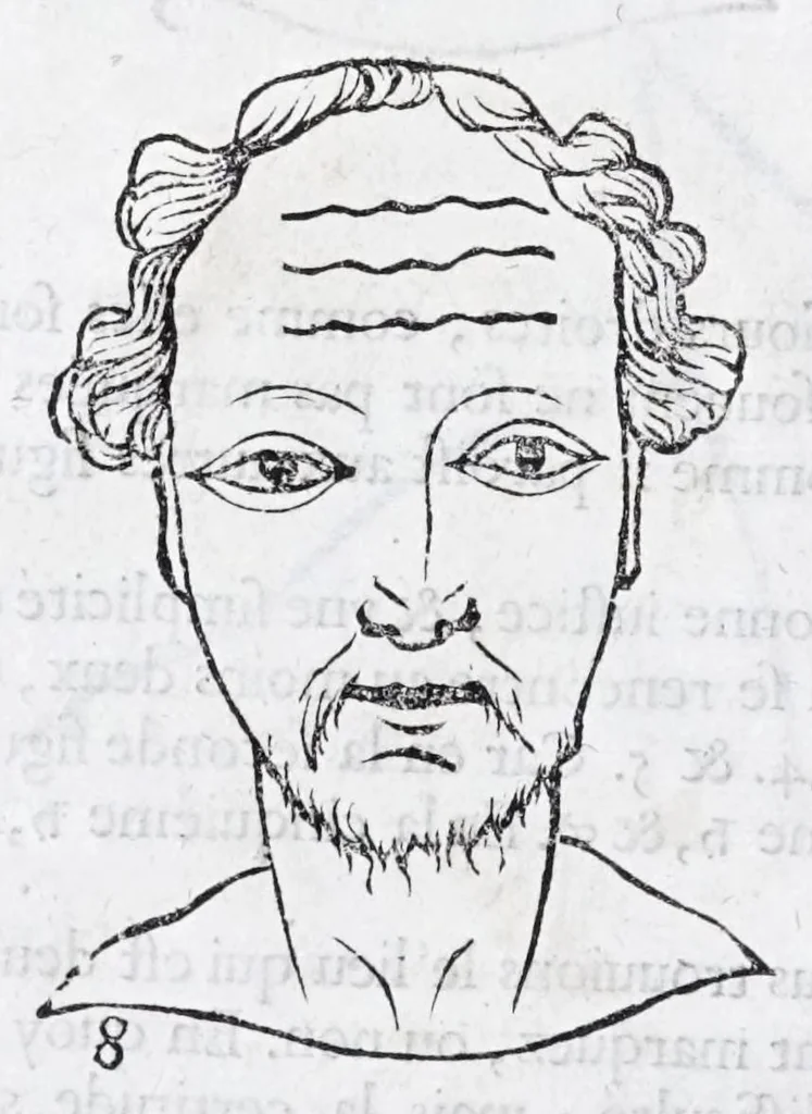 An illustration from La metoposcopie de H. Cardan, medecin milanois : comprise en treize liures, et huit cens figures de la face humaine : a laquelle a esté adjousté, Le traicté des marques naturelles du corps, par Melampus, antien autheur grec : le tout traduit en françois par le sieur C. M. de Laurendiere, docteur en medecine, 1658, leaf 24