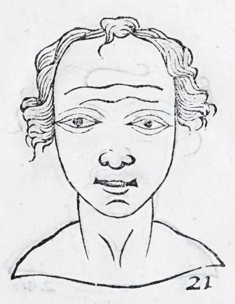 An illustration from La metoposcopie de H. Cardan, medecin milanois : comprise en treize liures, et huit cens figures de la face humaine : a laquelle a esté adjousté, Le traicté des marques naturelles du corps, par Melampus, antien autheur grec : le tout traduit en françois par le sieur C. M. de Laurendiere, docteur en medecine, 1658, leaf 27