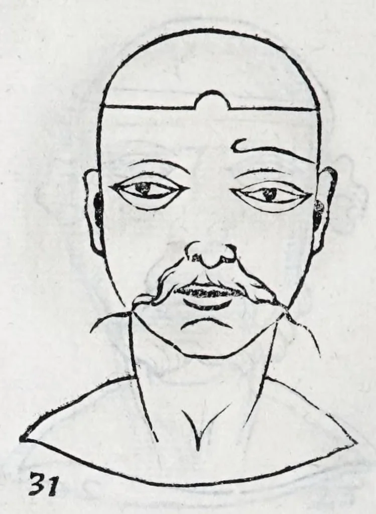 An illustration from La metoposcopie de H. Cardan, medecin milanois : comprise en treize liures, et huit cens figures de la face humaine : a laquelle a esté adjousté, Le traicté des marques naturelles du corps, par Melampus, antien autheur grec : le tout traduit en françois par le sieur C. M. de Laurendiere, docteur en medecine, 1658, leaf 30